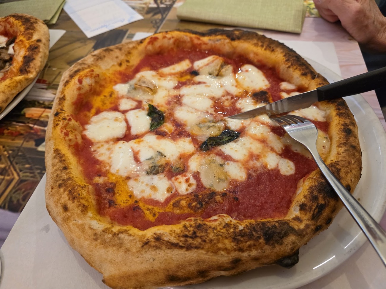 Pizza margherita verace nel piatto